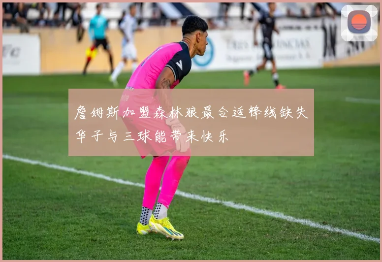 詹姆斯加盟森林狼最合适锋线缺失华子与三球能带来快乐